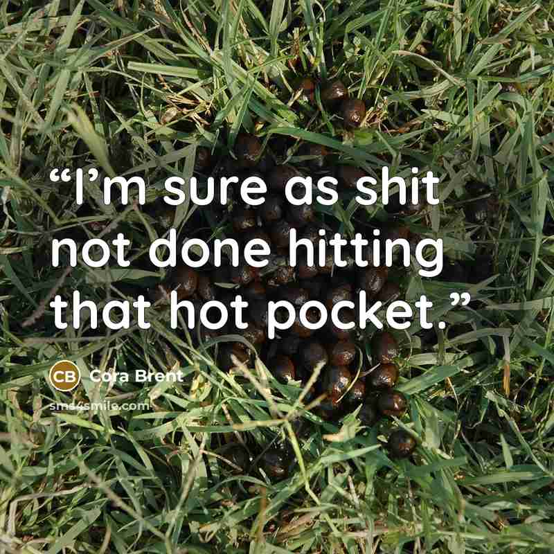 “I’m sure as shit not done hitting that hot pocket.” quote by Cora Brent