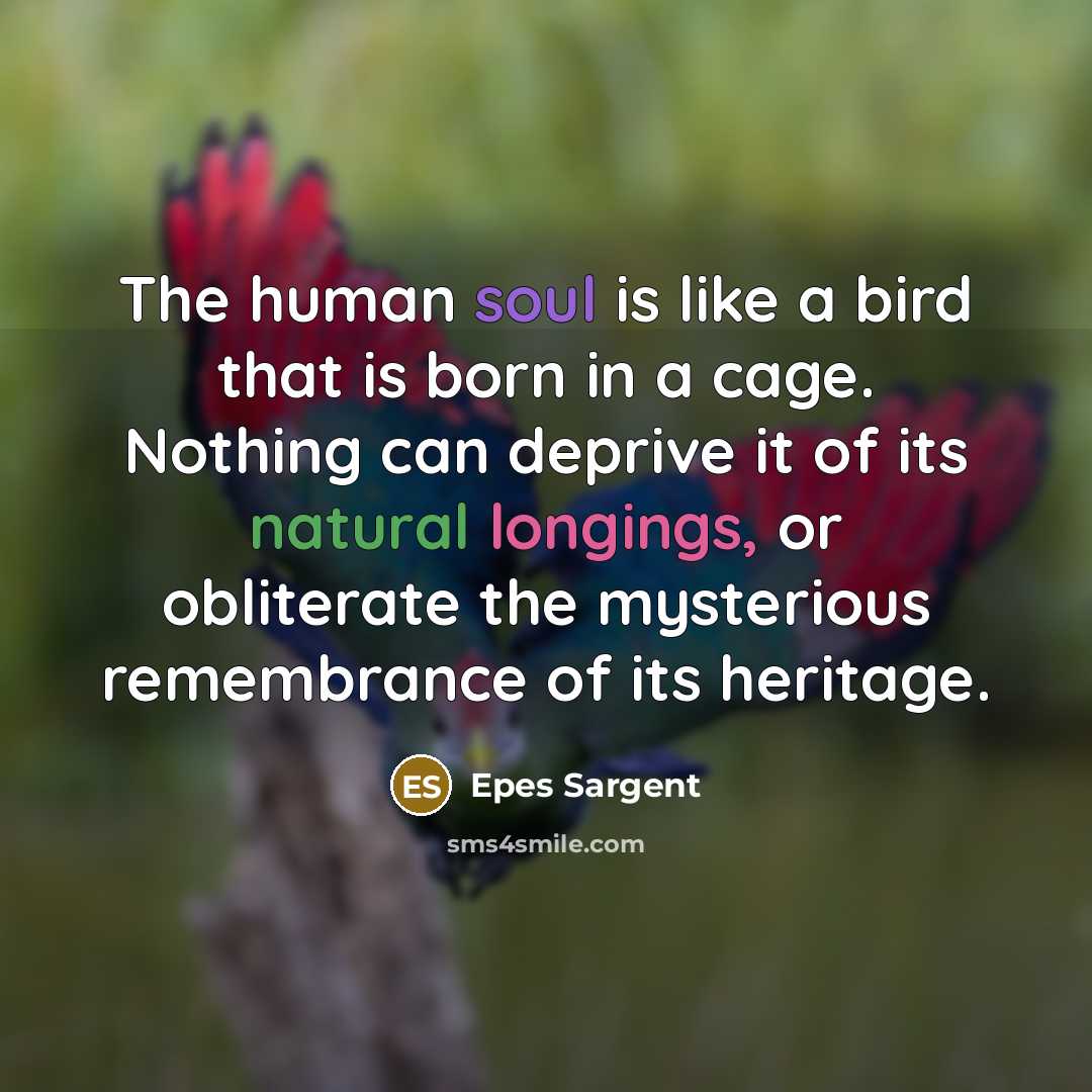 “The human soul is like a bird that is born in a cage. Nothing can deprive it of its natural longings, or obliterate the mysterious remembrance of its heritage.” quote by Epes Sargent