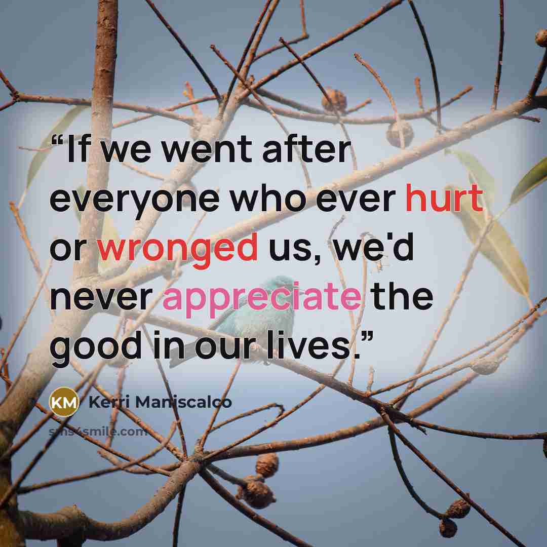 “If we went after everyone who ever hurt or wronged us, we'd never appreciate the good in our lives.” quote by Kerri Maniscalco