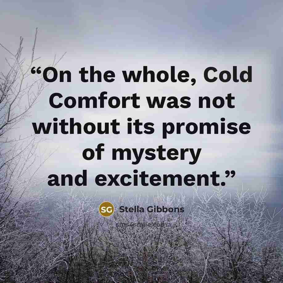 “On the whole, Cold Comfort was not without its promise of mystery and excitement.” quote by Stella Gibbons