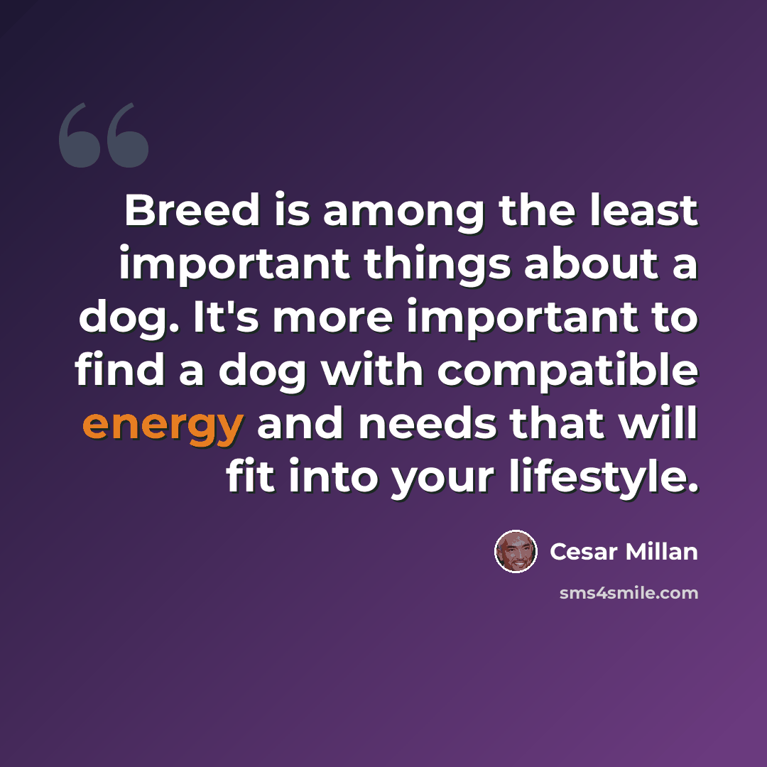 “Breed is among the least important things about a dog. It's more important to find a dog with compatible energy and needs that will fit into your lifestyle.” quote by Cesar Millan