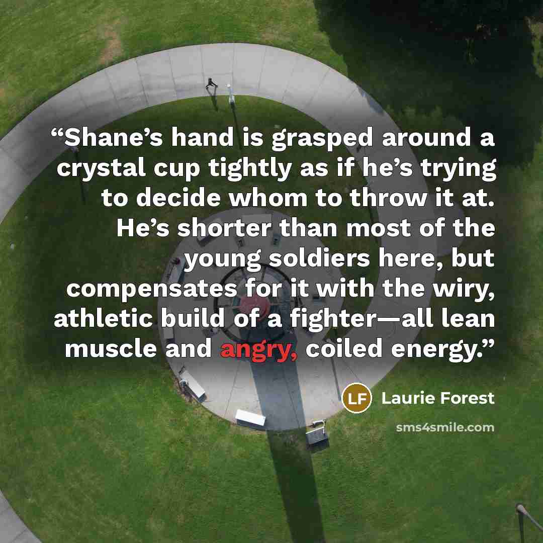 “Shane’s hand is grasped around a crystal cup tightly as if he’s trying to decide whom to throw it at. He’s shorter than most of the young soldiers here, but compensates for it with the wiry, athletic build of a fighter—all lean muscle and angry, coiled energy.” quote by Laurie Forest