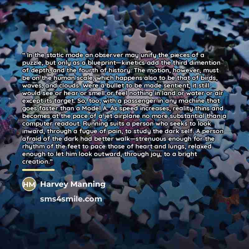 “In the static mode an observer may unify the pieces of a puzzle, but only as a blueprint—kinetics add the third dimention of depth, and the fourth of history. The motion, however, must be on the human scale, which happens also to be that of birds, waves, and clouds. Were a bullet to be made…” quote by Harvey Manning
