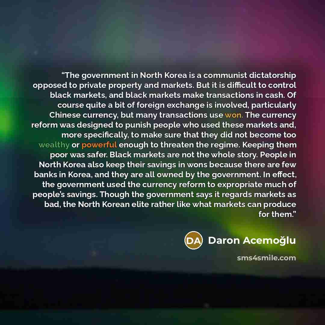 “The government in North Korea is a communist dictatorship opposed to private property and markets. But it is difficult to control black markets, and black markets make transactions in cash. Of course quite a bit of foreign exchange is involved, particularly Chinese currency, but many transactions…” quote by Daron Acemoğlu