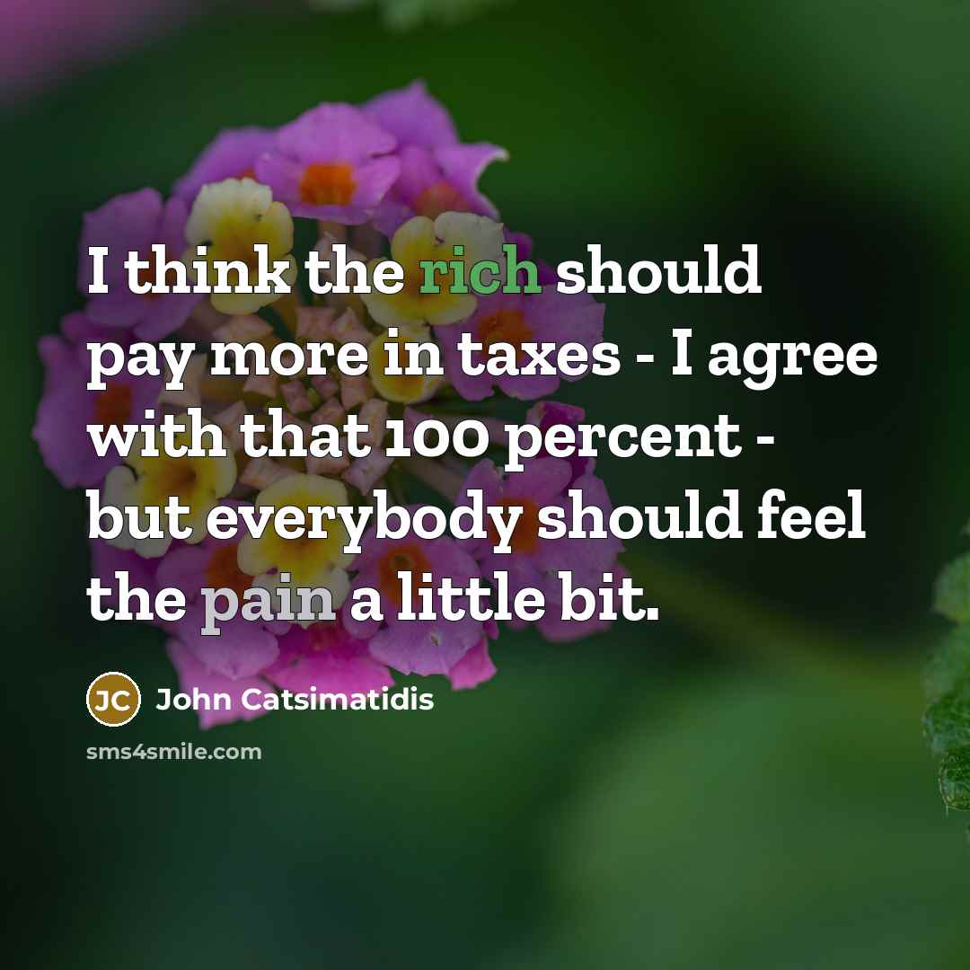 “I think the rich should pay more in taxes - I agree with that 100 percent - but everybody should feel the pain a little bit.” quote by John Catsimatidis