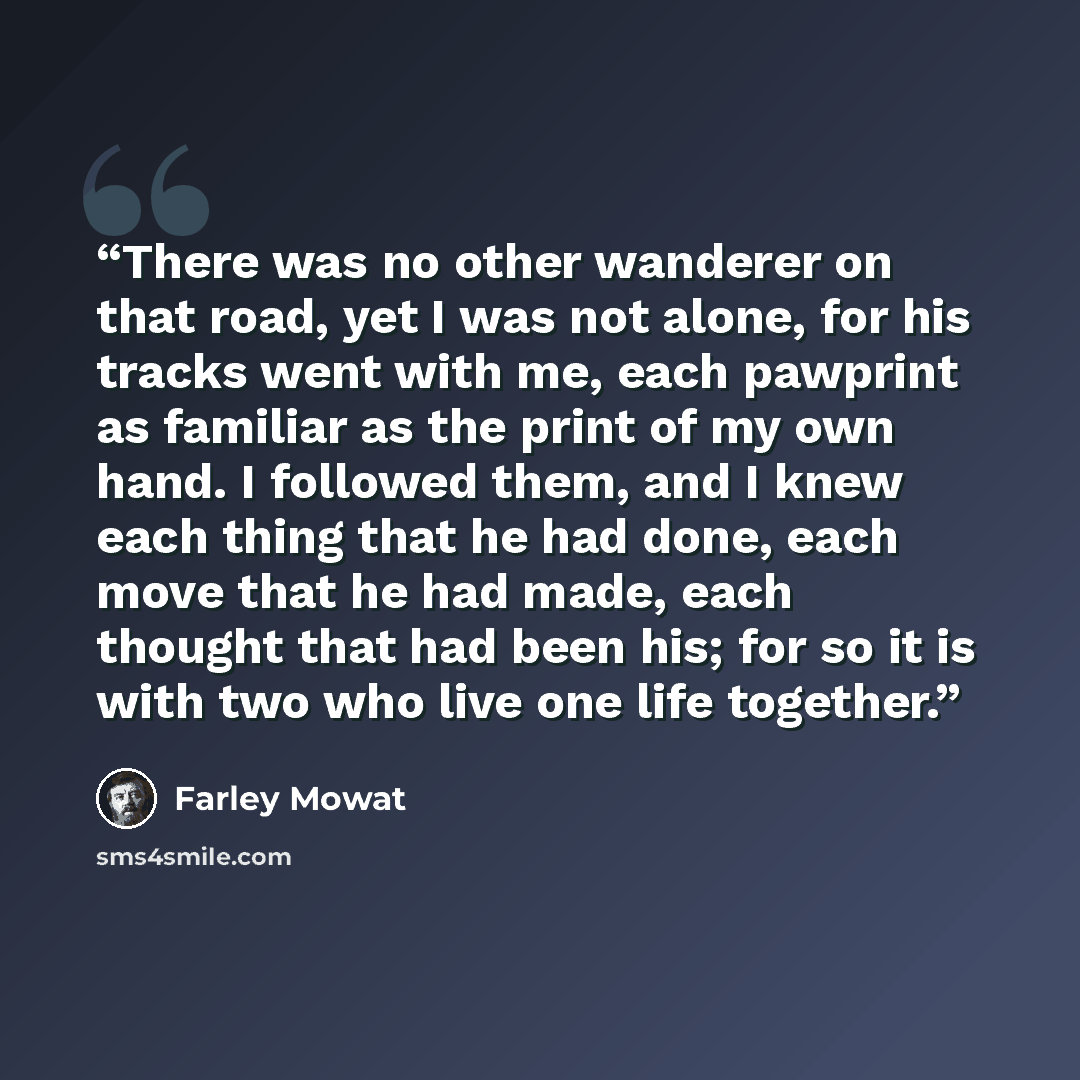 “There was no other wanderer on that road, yet I was not alone, for his tracks went with me, each pawprint as familiar as the print of my own hand. I followed them, and I knew each thing that he had done, each move that he had made, each thought that had been his; for so it is with two who live one…” quote by Farley Mowat