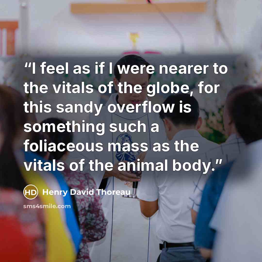 “I feel as if I were nearer to the vitals of the globe, for this sandy overflow is something such a foliaceous mass as the vitals of the animal body.” quote by Henry David Thoreau