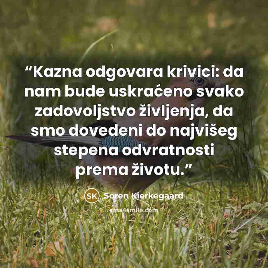 “Kazna odgovara krivici: da nam bude uskraćeno svako zadovoljstvo življenja, da smo dovedeni do najvišeg stepena odvratnosti prema životu.” quote by Soren Kierkegaard
