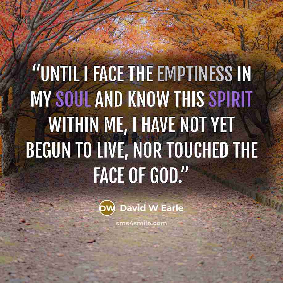 “Until I face the emptiness in my soul and know this spirit within me, I have not yet begun to live, nor touched the face of God.” quote by David W Earle
