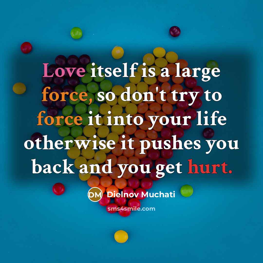 “Love itself is a large force, so don't try to force it into your life otherwise it pushes you back and you get hurt.” quote by Dielnov Muchati
