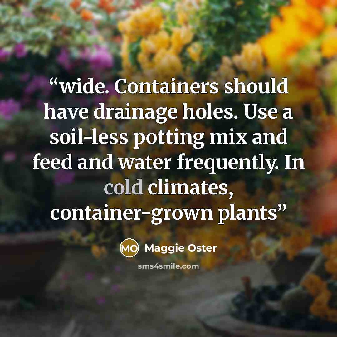 “wide. Containers should have drainage holes. Use a soil-less potting mix and feed and water frequently. In cold climates, container-grown plants” quote by Maggie Oster