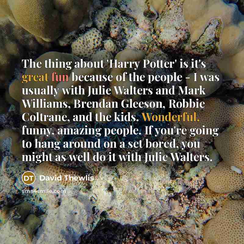 “The thing about 'Harry Potter' is it's great fun because of the people - I was usually with Julie Walters and Mark Williams, Brendan Gleeson, Robbie Coltrane, and the kids. Wonderful, funny, amazing people. If you're going to hang around on a set bored, you might as well do it with Julie Walters.” quote by David Thewlis