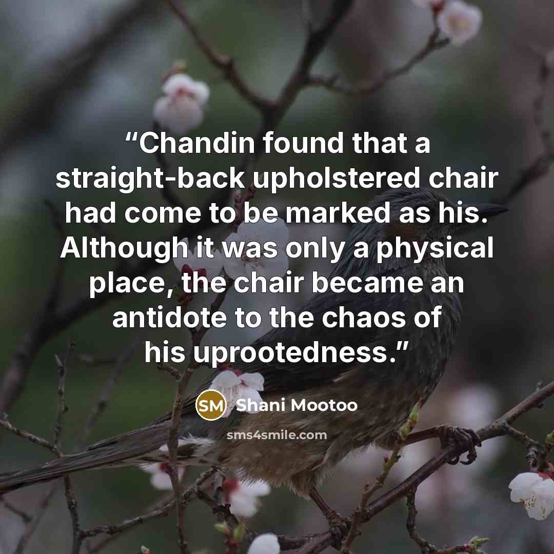“Chandin found that a straight-back upholstered chair had come to be marked as his. Although it was only a physical place, the chair became an antidote to the chaos of his uprootedness.” quote by Shani Mootoo