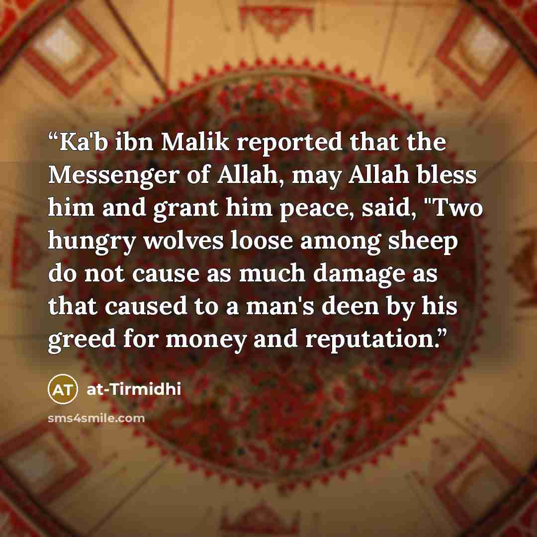 “Ka'b ibn Malik reported that the Messenger of Allah, may Allah bless him and grant him peace, said, "Two hungry wolves loose among sheep do not cause as much damage as that caused to a man's deen by his greed for money and reputation.” quote by At-Tirmidhi