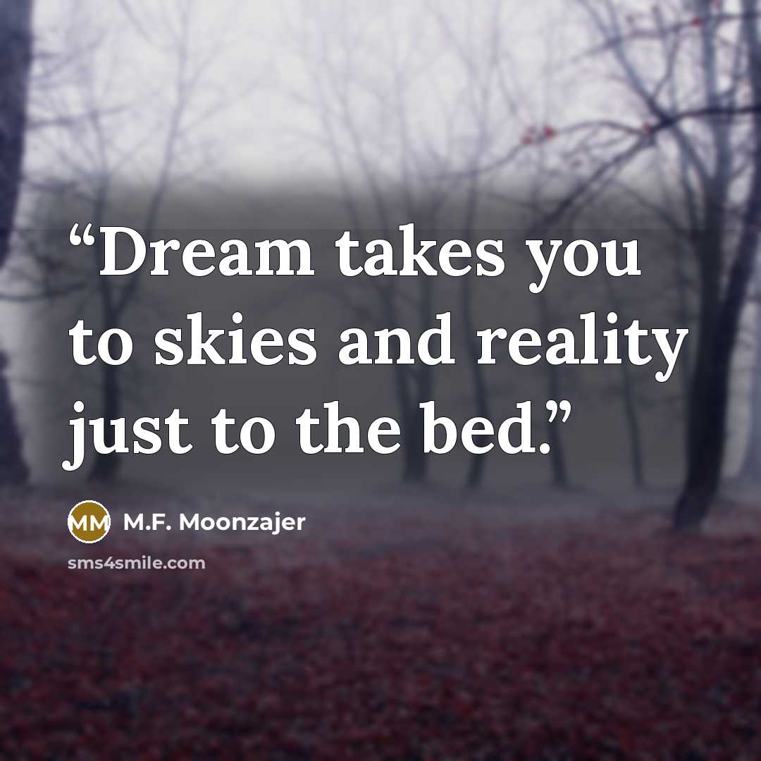 “Dream takes you to skies and reality just to the bed.” quote by M.F. Moonzajer