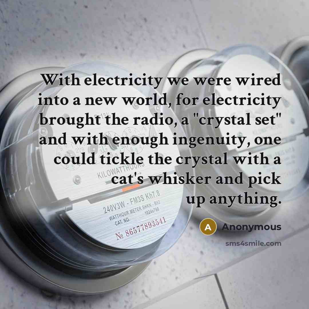 “With electricity we were wired into a new world, for electricity brought the radio, a "crystal set" and with enough ingenuity, one could tickle the crystal with a cat's whisker and pick up anything.” quote by Anonymous