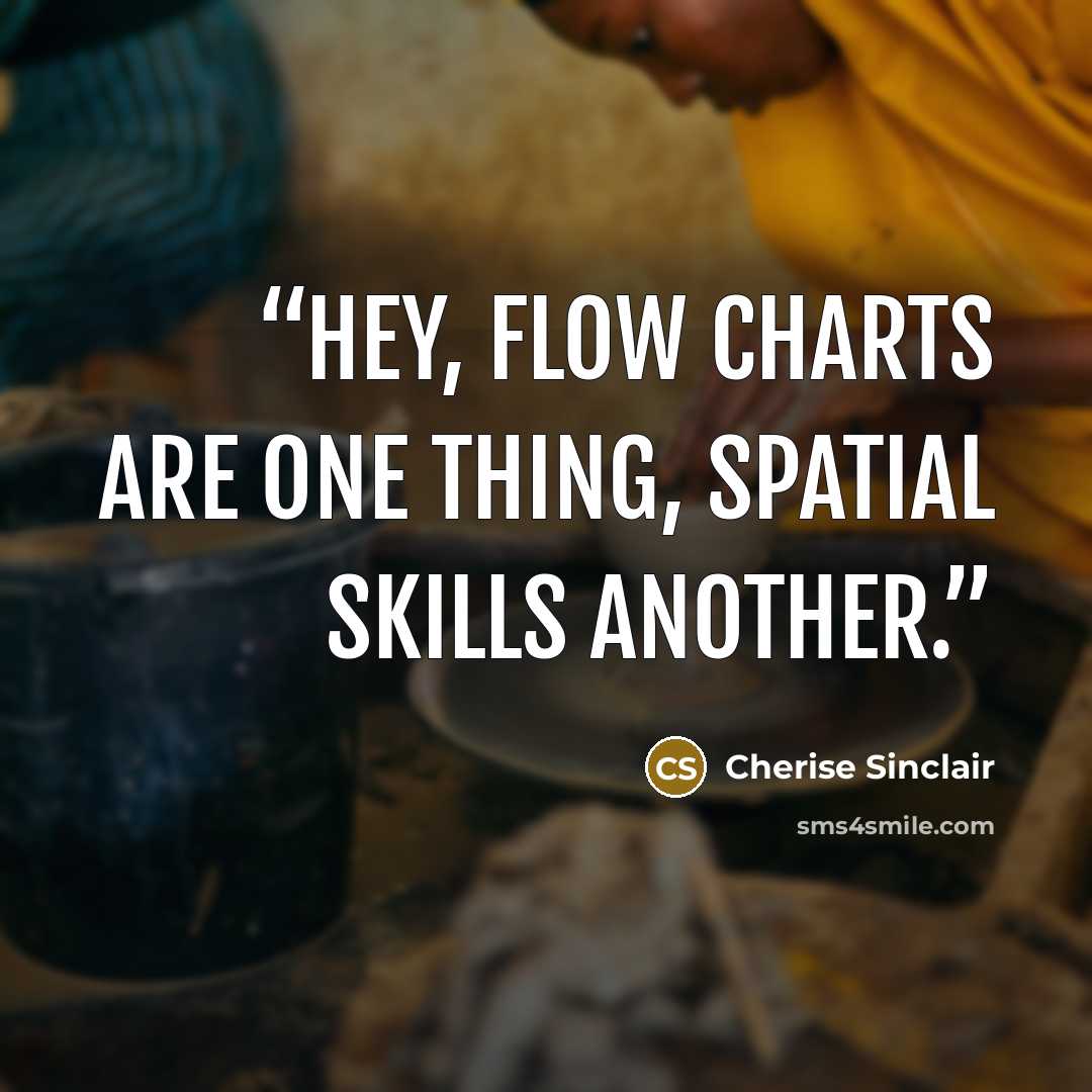 “Hey, flow charts are one thing, spatial skills another.” quote by cherise sinclair