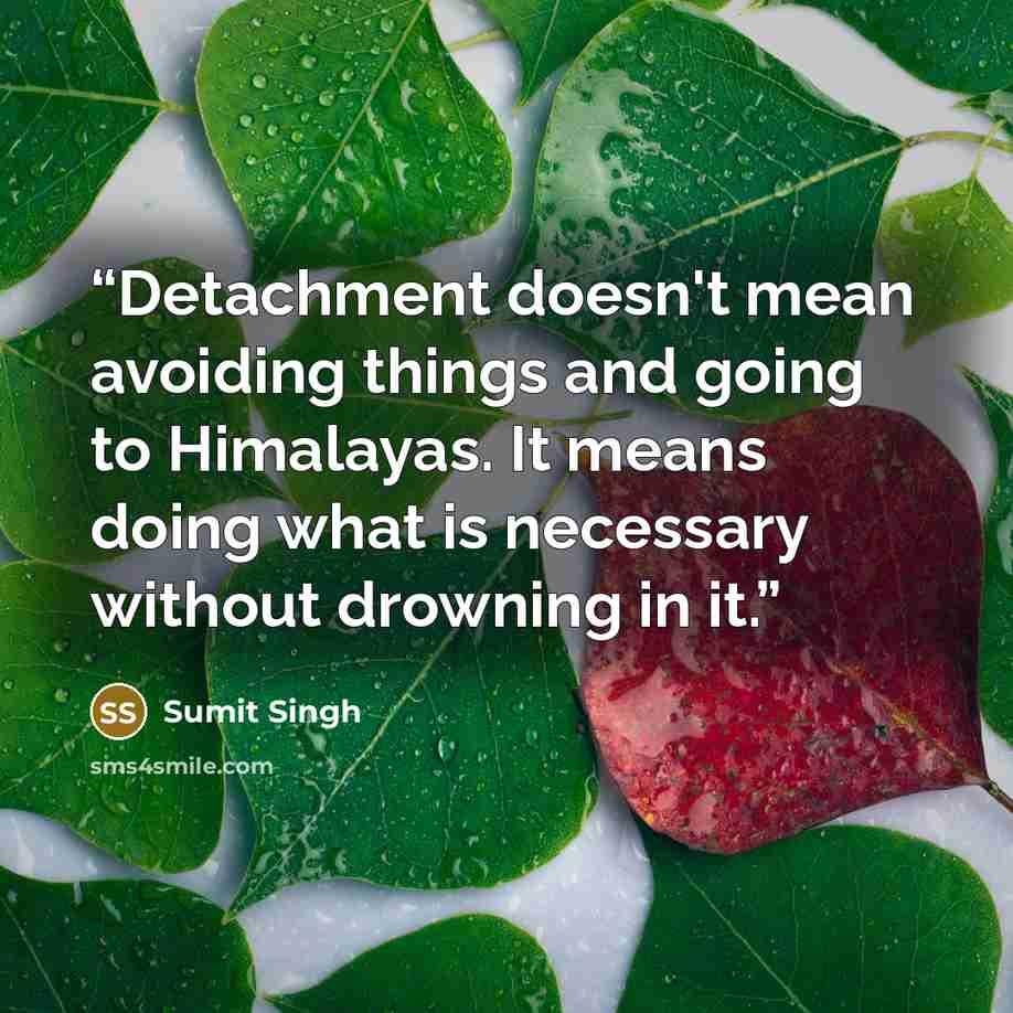 “Detachment doesn't mean avoiding things and going to Himalayas. It means doing what is necessary without drowning in it.” quote by Sumit Singh