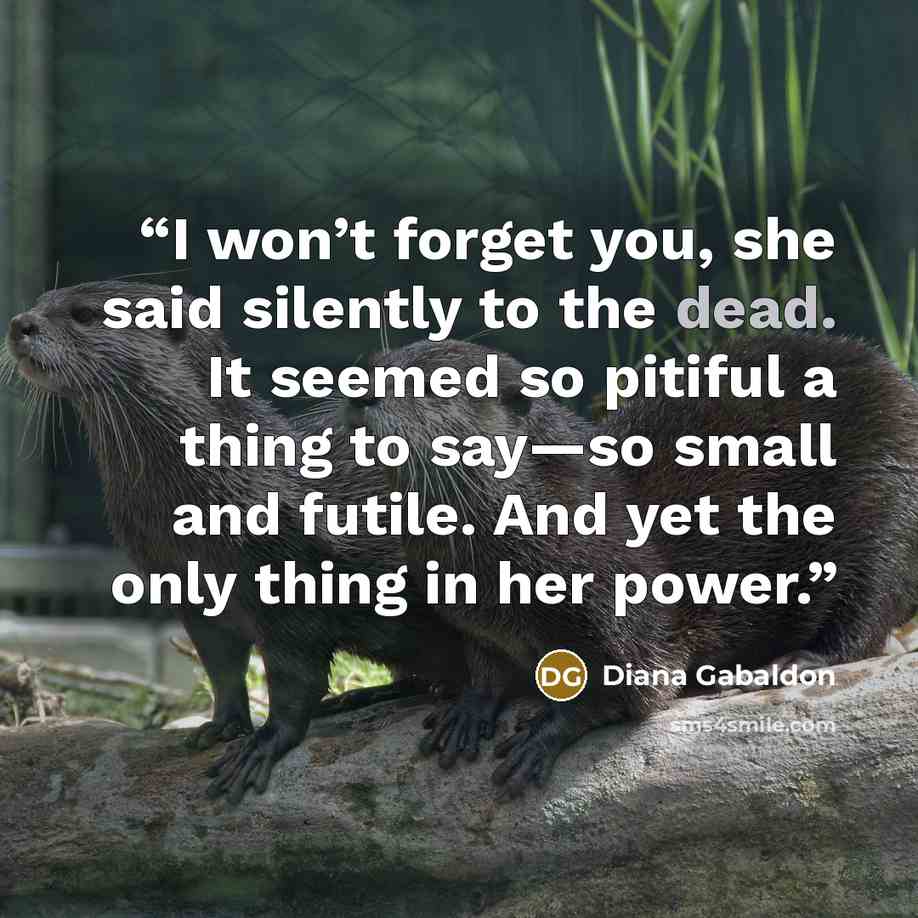 “I won’t forget you, she said silently to the dead. It seemed so pitiful a thing to say—so small and futile. And yet the only thing in her power.” quote by Diana Gabaldon