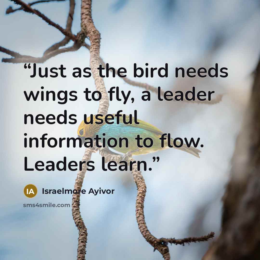 “Just as the bird needs wings to fly, a leader needs useful information to flow. Leaders learn.” quote by Israelmore Ayivor