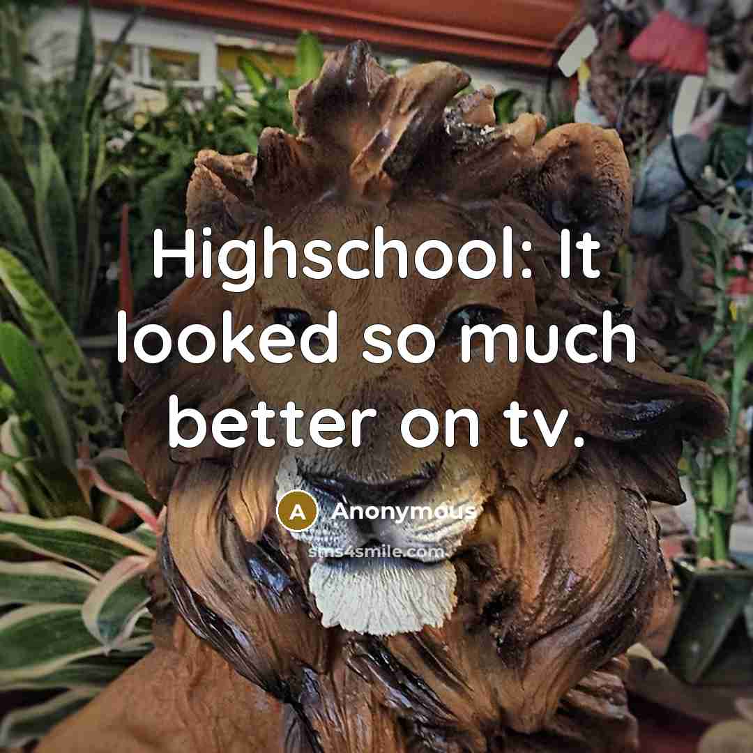 “Highschool: It looked so much better on tv.” quote by Anonymous