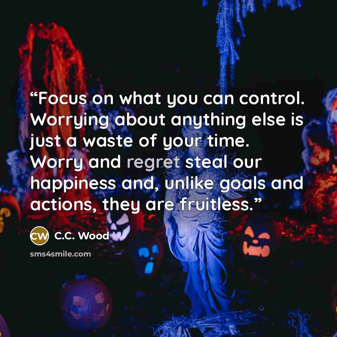 “Focus on what you can control. Worrying about anything else is just a waste of your time. Worry and regret steal our happiness and, unlike goals and actions, they are fruitless.” quote by C.C. Wood