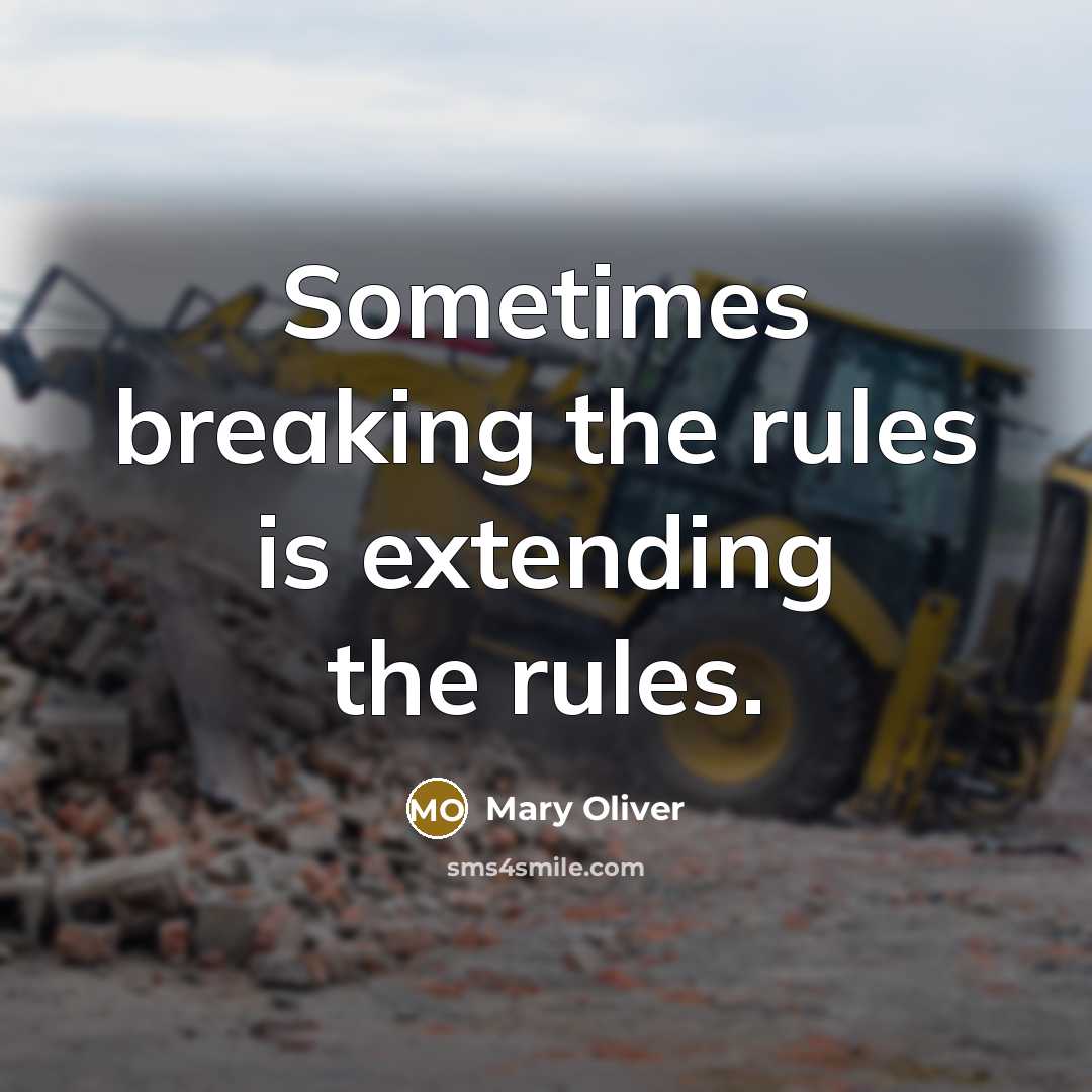 “Sometimes breaking the rules is extending the rules.” quote by Mary Oliver