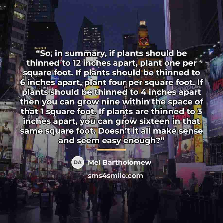 “So, in summary, if plants should be thinned to 12 inches apart, plant one per square foot. If plants should be thinned to 6 inches apart, plant four per square foot. If plants should be thinned to 4 inches apart then you can grow nine within the space of that 1 square foot. If plants are thinned…” quote by Mel Bartholomew