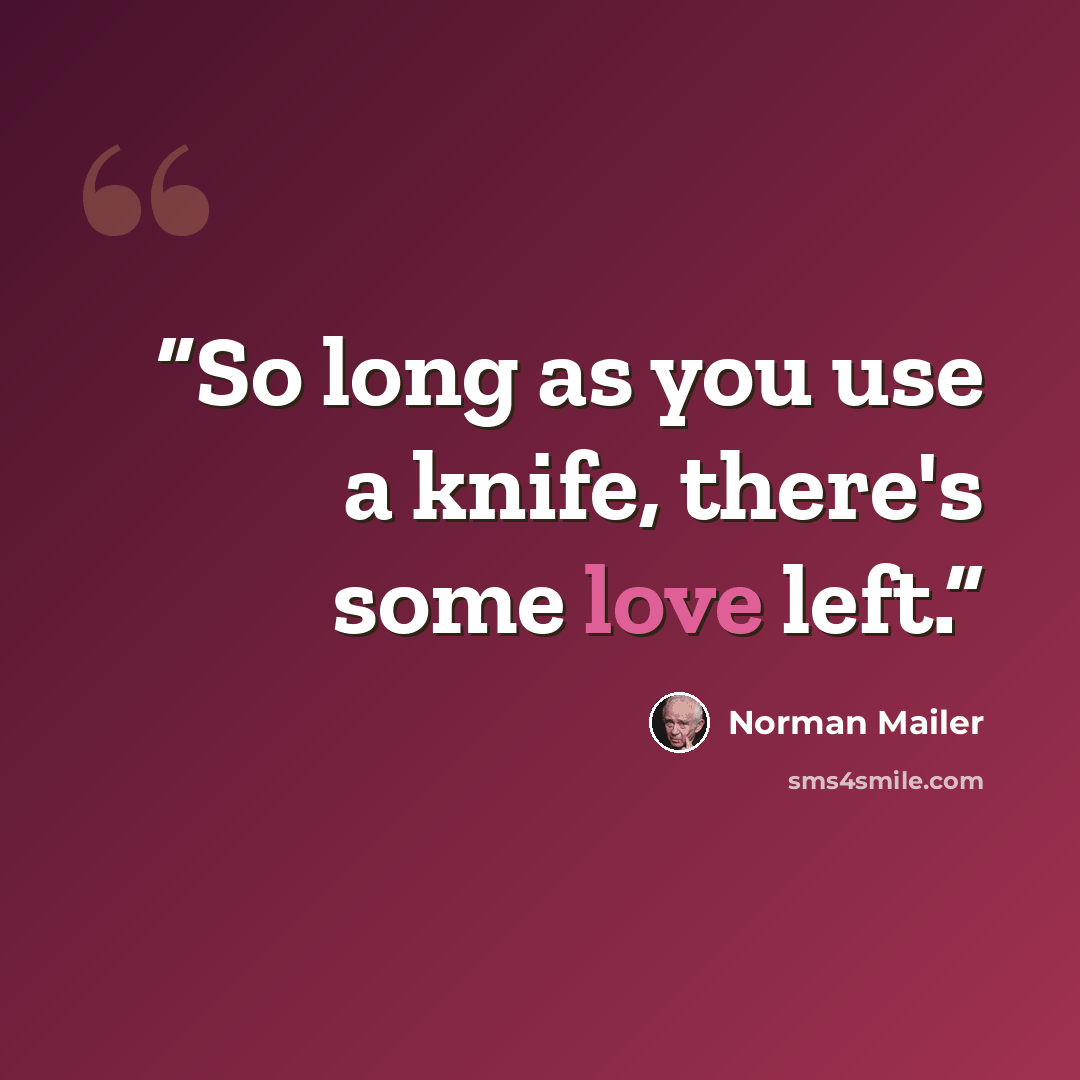 “So long as you use a knife, there's some love left.” quote by Norman Mailer