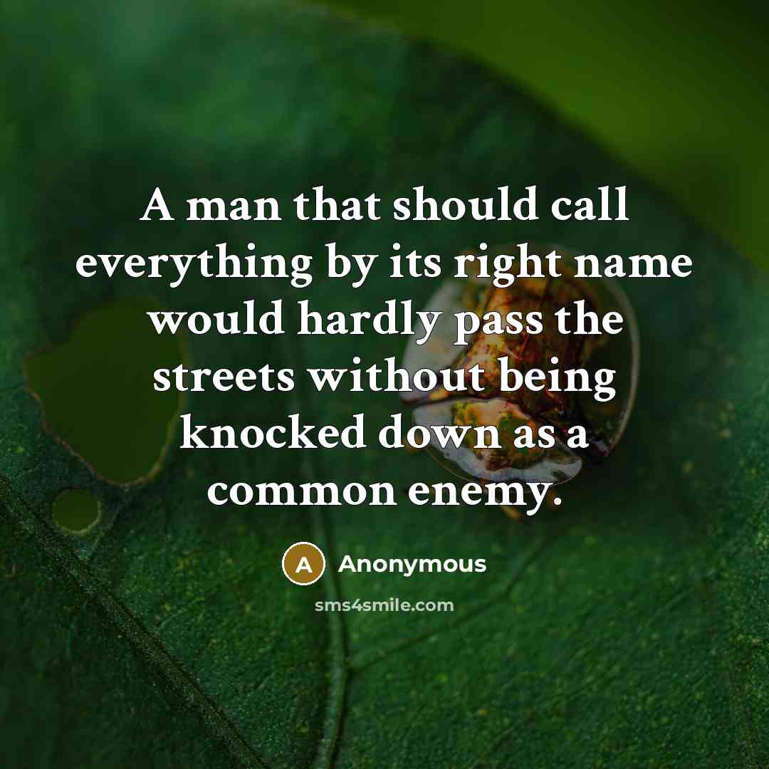 “A man that should call everything by its right name would hardly pass the streets without being knocked down as a common enemy.” quote by Anonymous