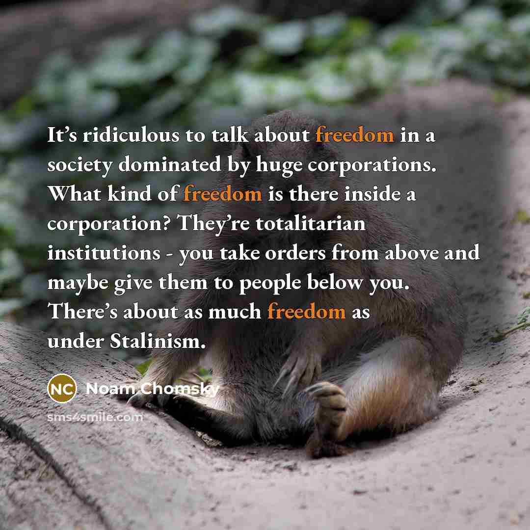“It’s ridiculous to talk about freedom in a society dominated by huge corporations. What kind of freedom is there inside a corporation? They’re totalitarian institutions - you take orders from above and maybe give them to people below you. There’s about as much freedom as under Stalinism.” quote by Noam Chomsky