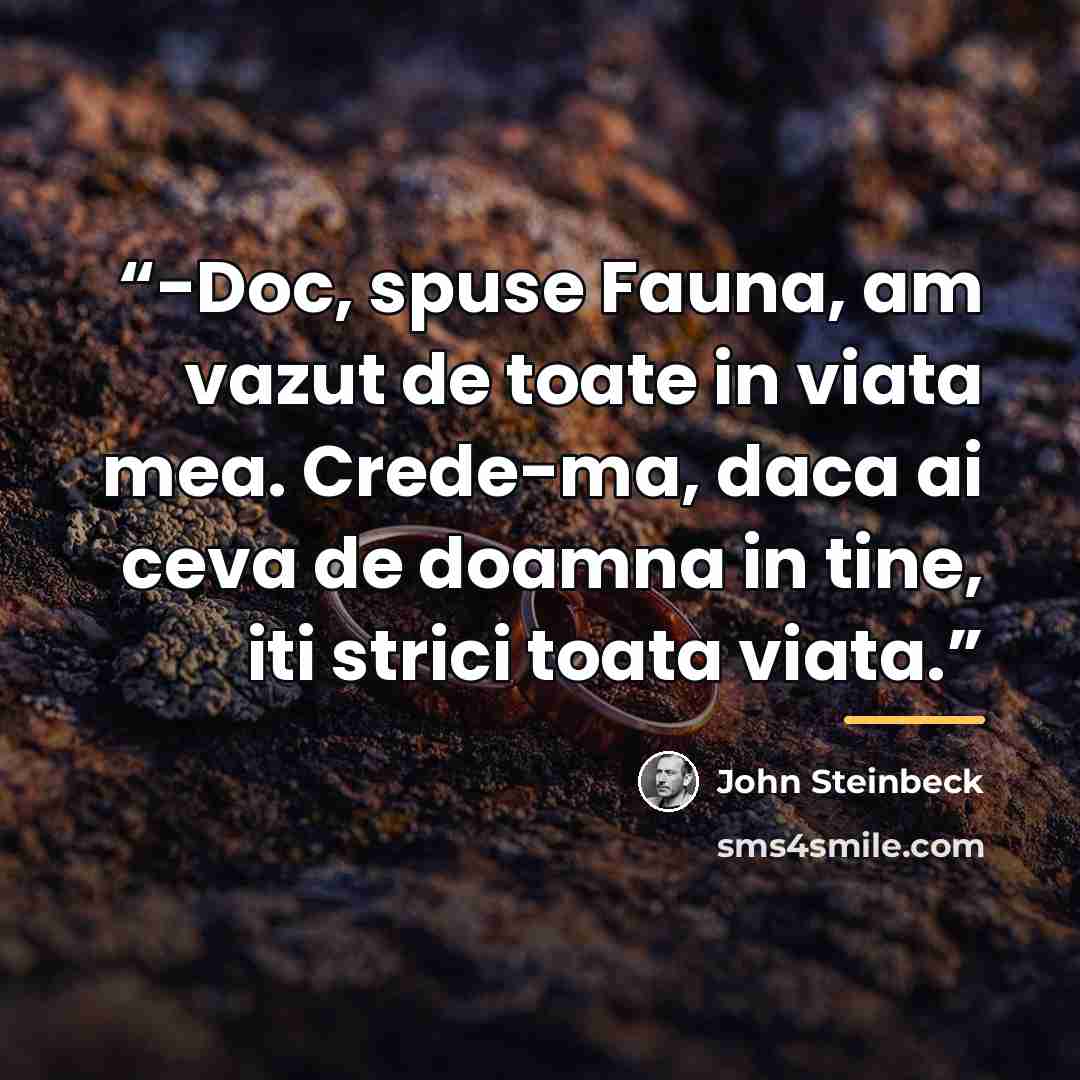 “-Doc, spuse Fauna, am vazut de toate in viata mea. Crede-ma, daca ai ceva de doamna in tine, iti strici toata viata.” quote by John Steinbeck