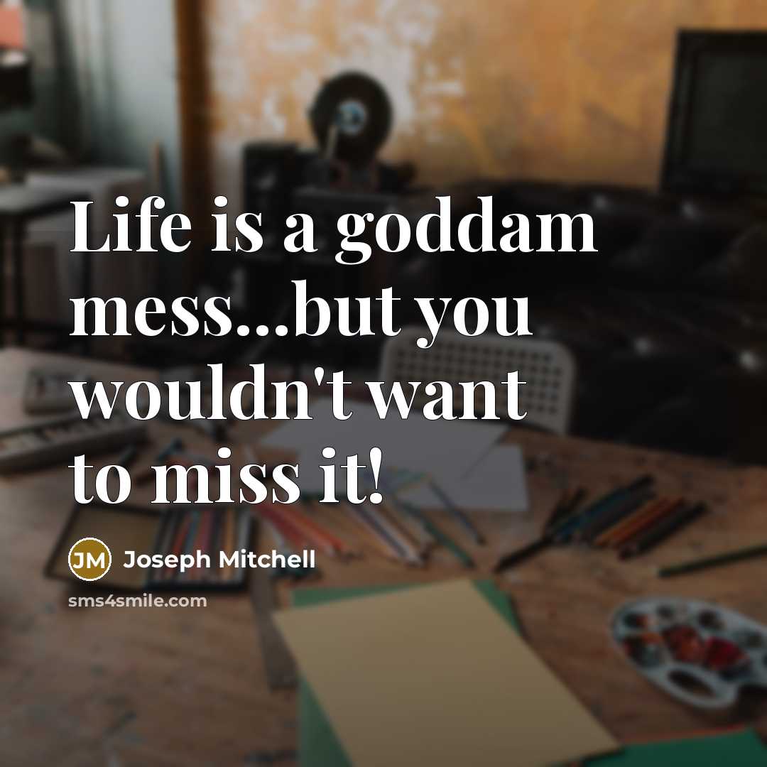 “Life is a goddam mess...but you wouldn't want to miss it!” quote by Joseph Mitchell