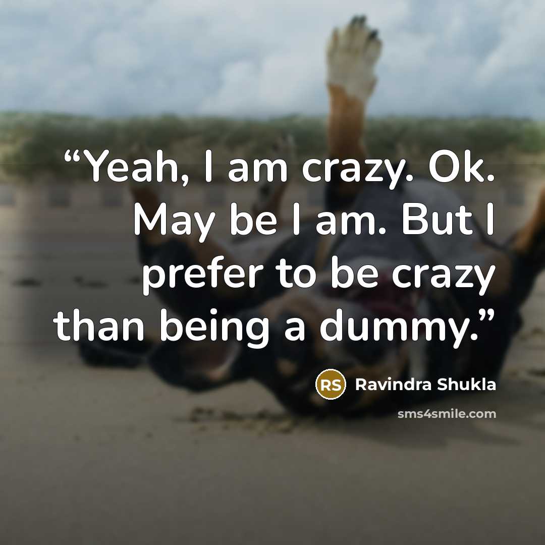 “Yeah, I am crazy. Ok. May be I am. But I prefer to be crazy than being a dummy.” quote by Ravindra Shukla