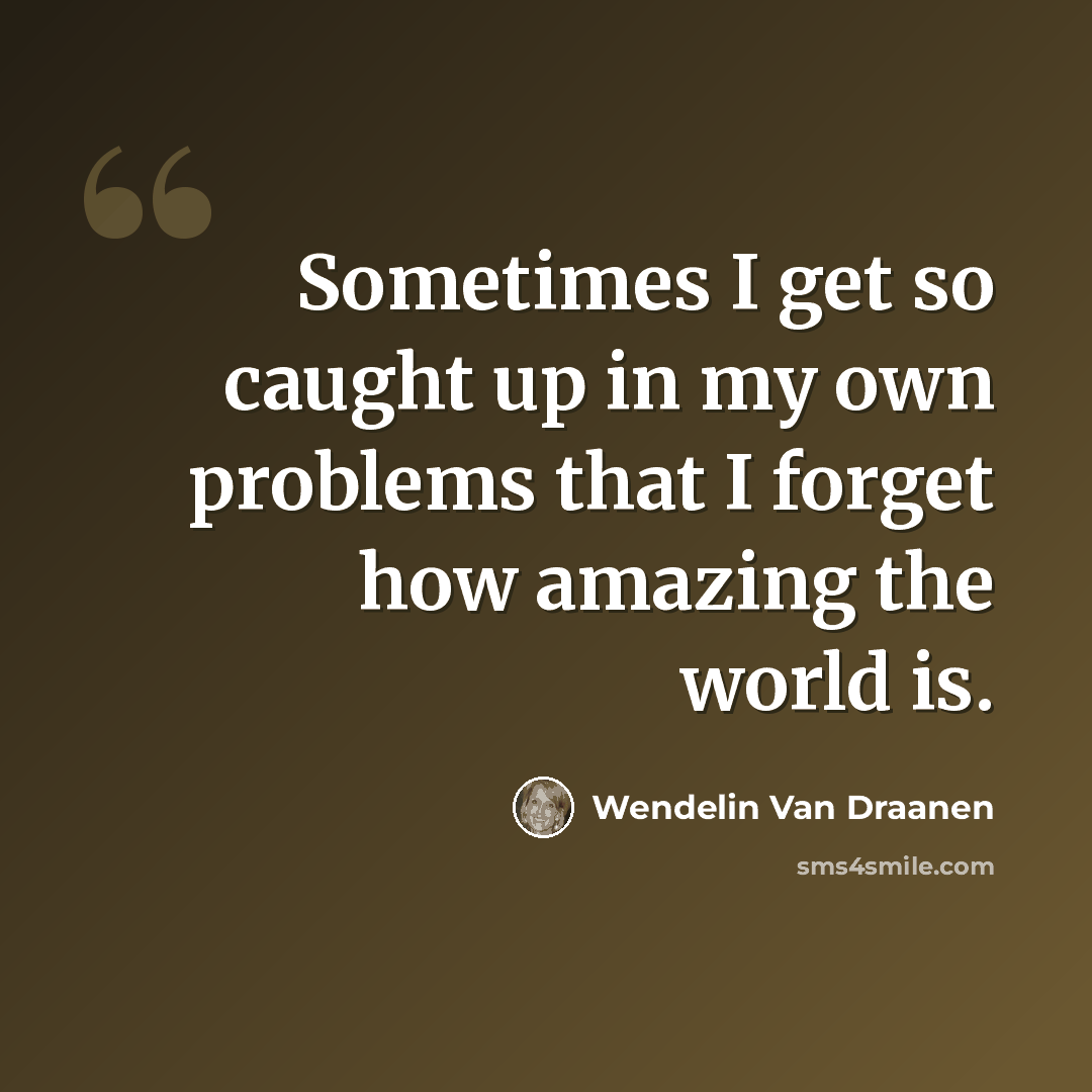 “Sometimes I get so caught up in my own problems that I forget how amazing the world is.” quote by Wendelin Van Draanen
