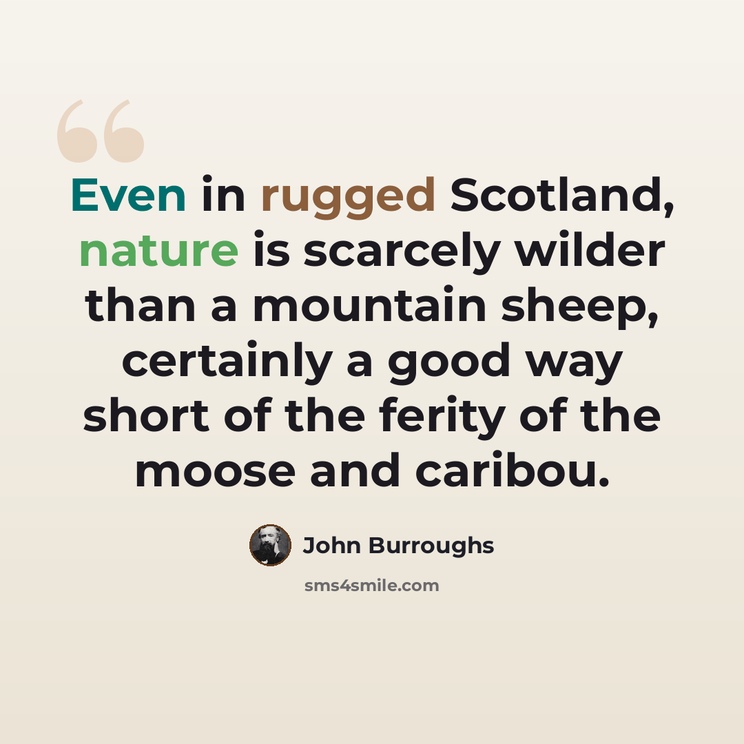 “Even in rugged Scotland, nature is scarcely wilder than a mountain sheep, certainly a good way short of the ferity of the moose and caribou.” quote by John Burroughs
