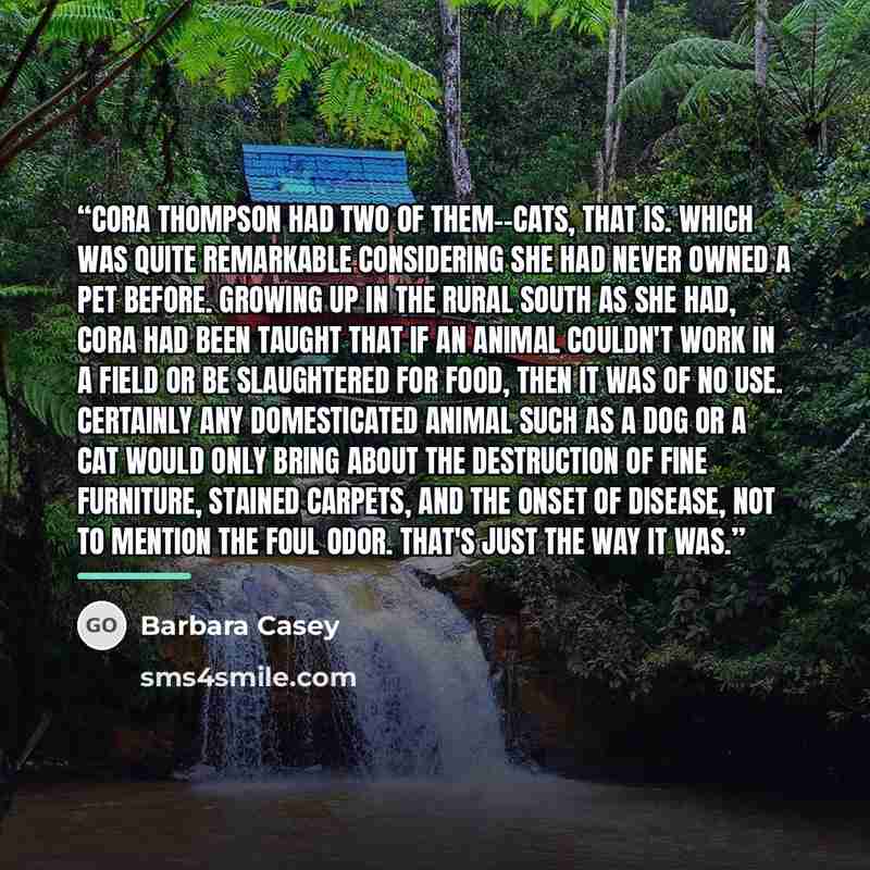“Cora Thompson had two of them--cats, that is. Which was quite remarkable considering she had never owned a pet before. Growing up in the rural South as she had, Cora had been taught that if an animal couldn't work in a field or be slaughtered for food, then it was of no use. Certainly any…” quote by Barbara Casey