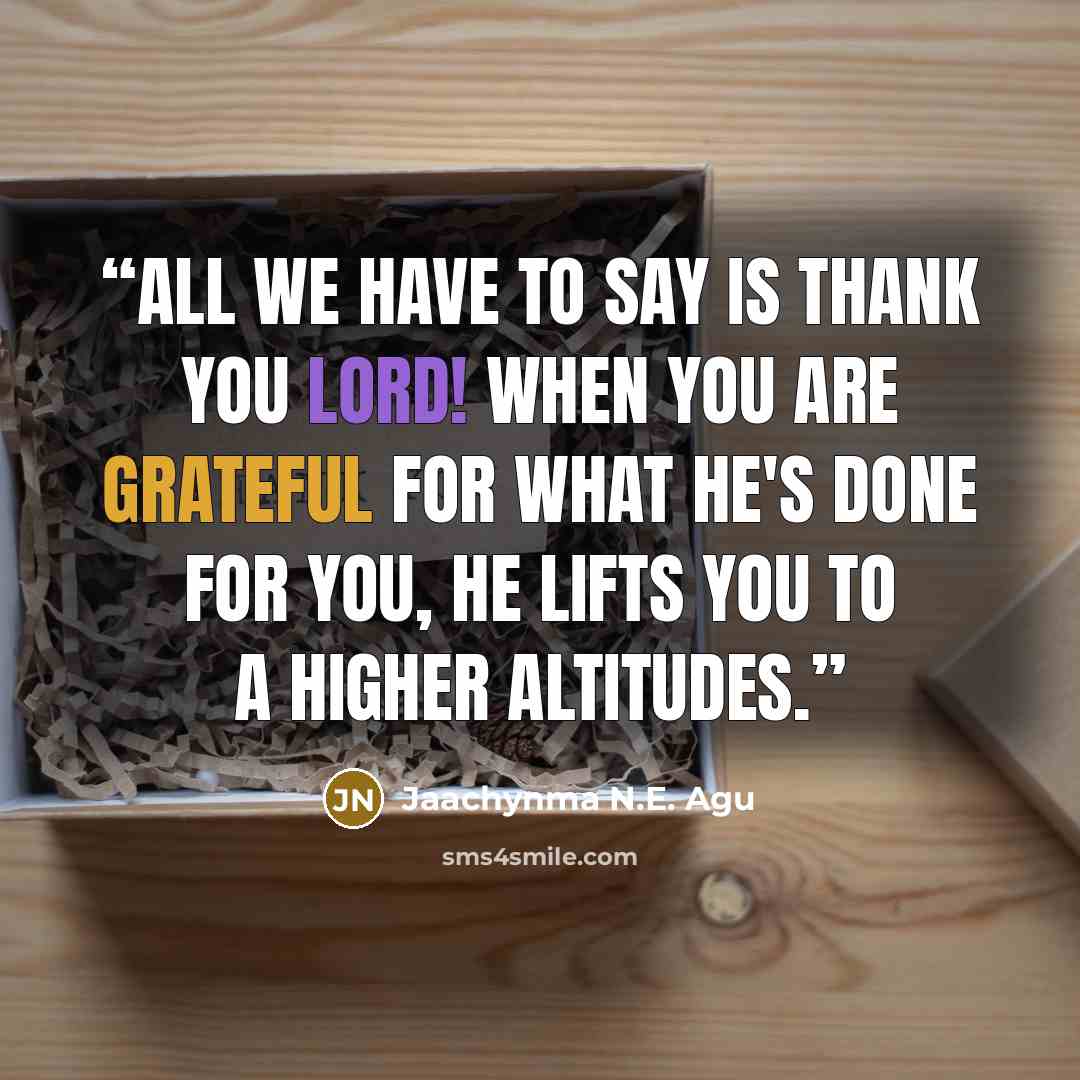 “All we have to say is thank you Lord! When you are grateful for what He's done for you, He lifts you to a higher altitudes.” quote by Jaachynma N.E. Agu