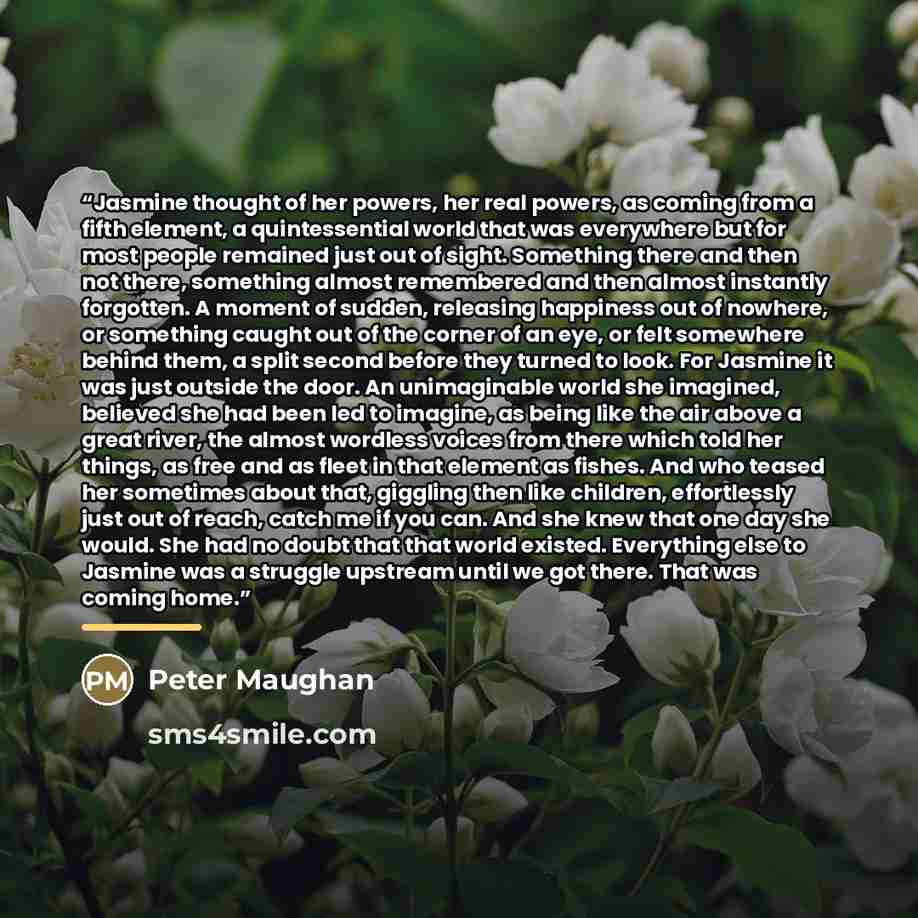 “Jasmine thought of her powers, her real powers, as coming from a fifth element, a quintessential world that was everywhere but for most people remained just out of sight. Something there and then not there, something almost remembered and then almost instantly forgotten. A moment of sudden…” quote by Peter Maughan