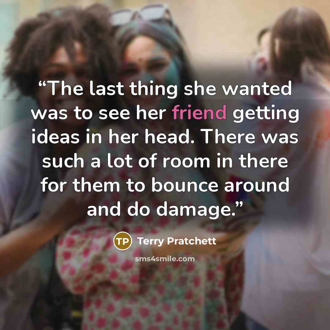 “The last thing she wanted was to see her friend getting ideas in her head. There was such a lot of room in there for them to bounce around and do damage.” quote by Terry Pratchett
