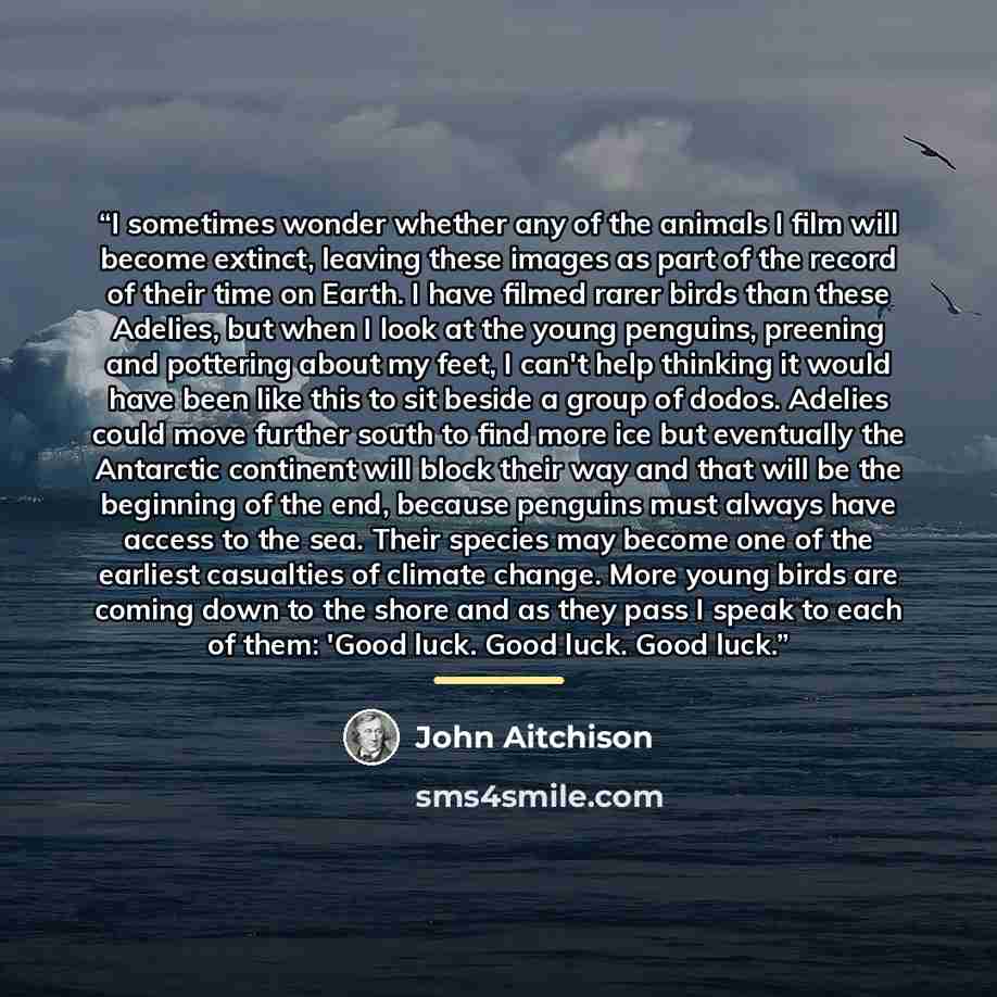 “I sometimes wonder whether any of the animals I film will become extinct, leaving these images as part of the record of their time on Earth. I have filmed rarer birds than these Adelies, but when I look at the young penguins, preening and pottering about my feet, I can't help thinking it would…” quote by John Aitchison