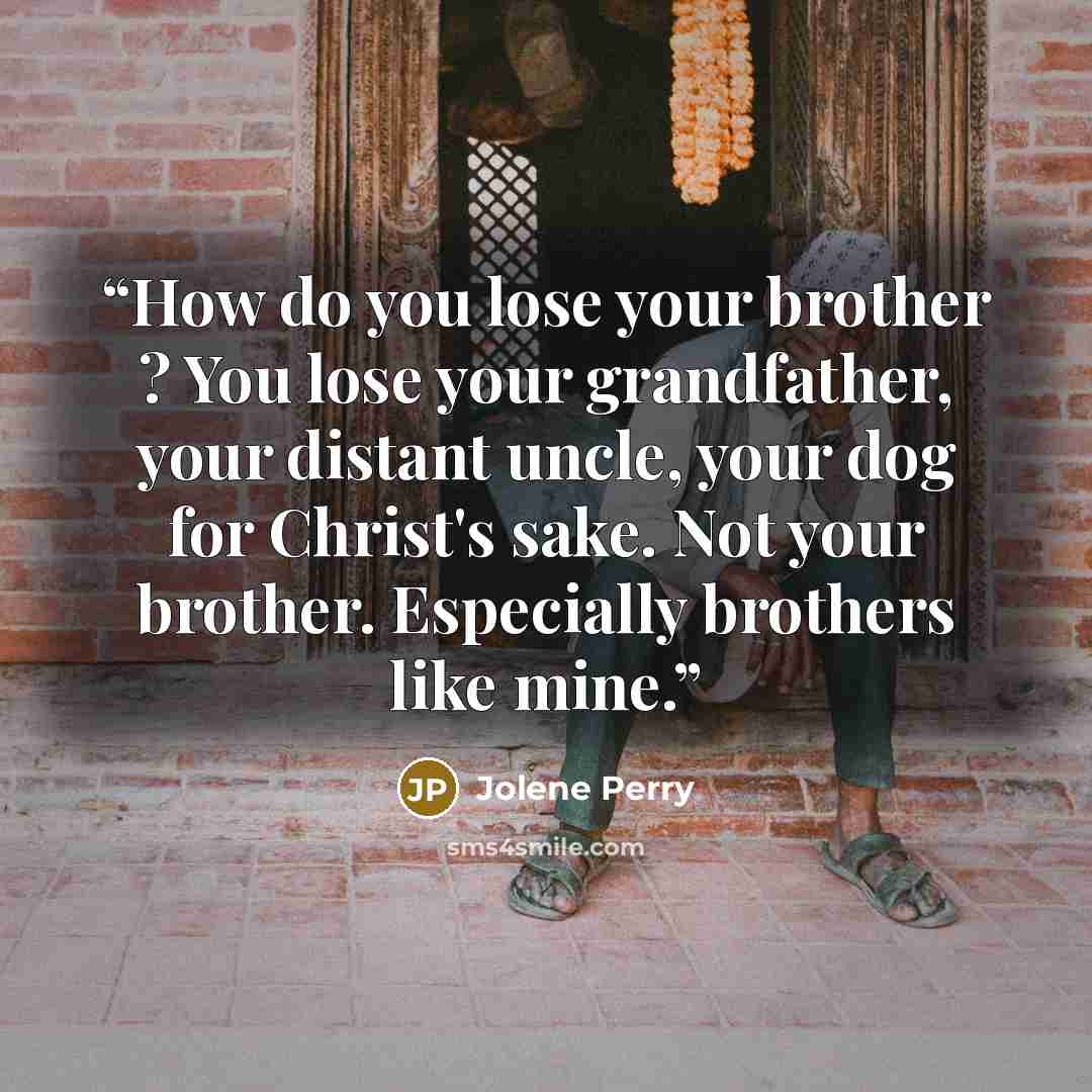 “How do you lose your brother ? You lose your grandfather, your distant uncle, your dog for Christ's sake. Not your brother. Especially brothers like mine.” quote by Jolene Perry