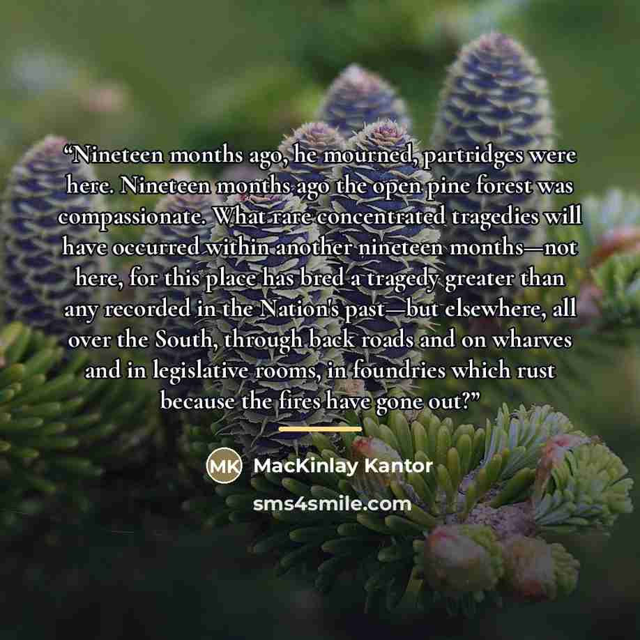 “Nineteen months ago, he mourned, partridges were here. Nineteen months ago the open pine forest was compassionate. What rare concentrated tragedies will have occurred within another nineteen months—not here, for this place has bred a tragedy greater than any recorded in the Nation's past—but…” quote by MacKinlay Kantor