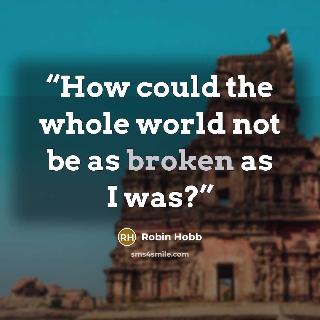 “How could the whole world not be as broken as I was?” quote by Robin Hobb