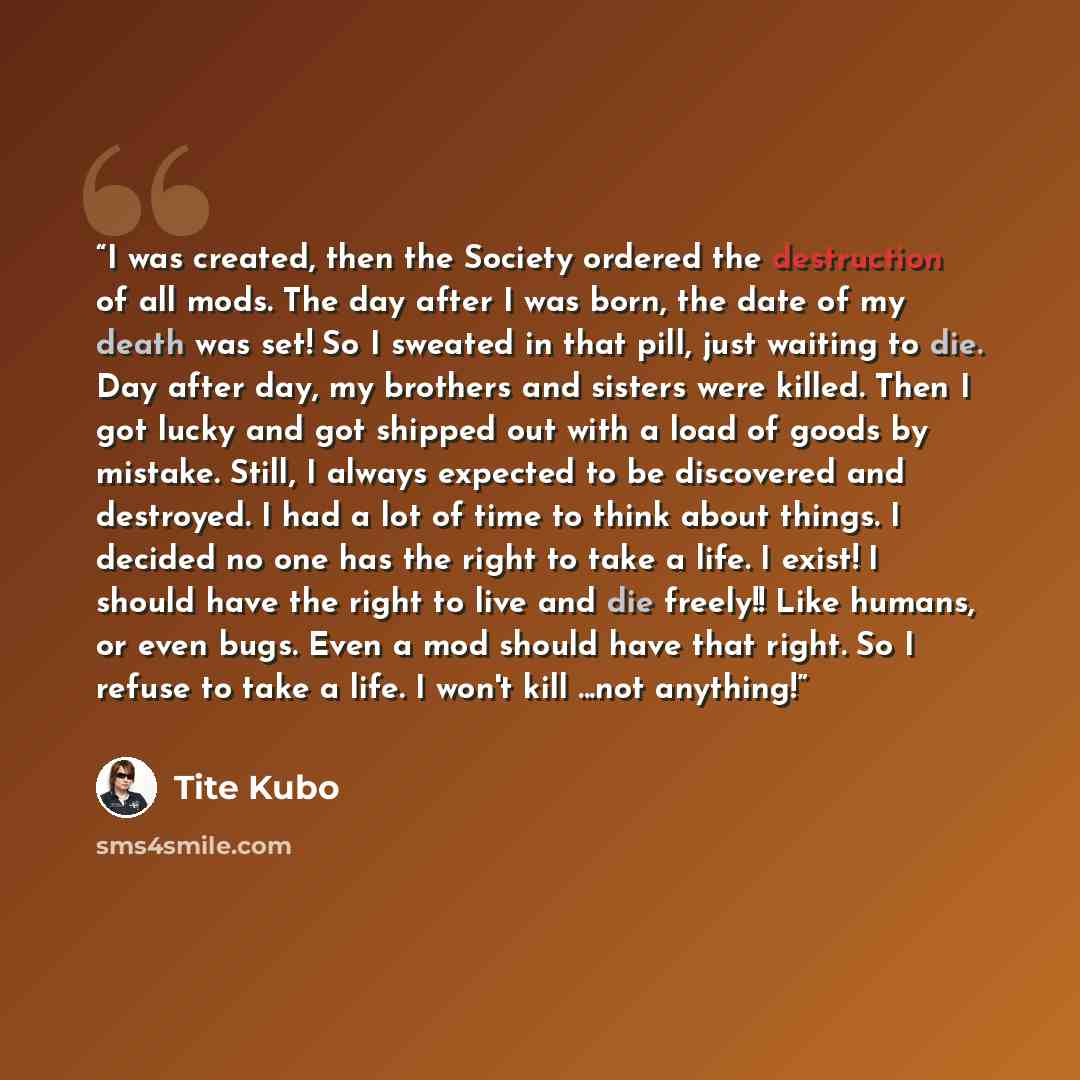 “I was created, then the Society ordered the destruction of all mods. The day after I was born, the date of my death was set! So I sweated in that pill, just waiting to die. Day after day, my brothers and sisters were killed. Then I got lucky and got shipped out with a load of goods by mistake…” quote by Tite Kubo
