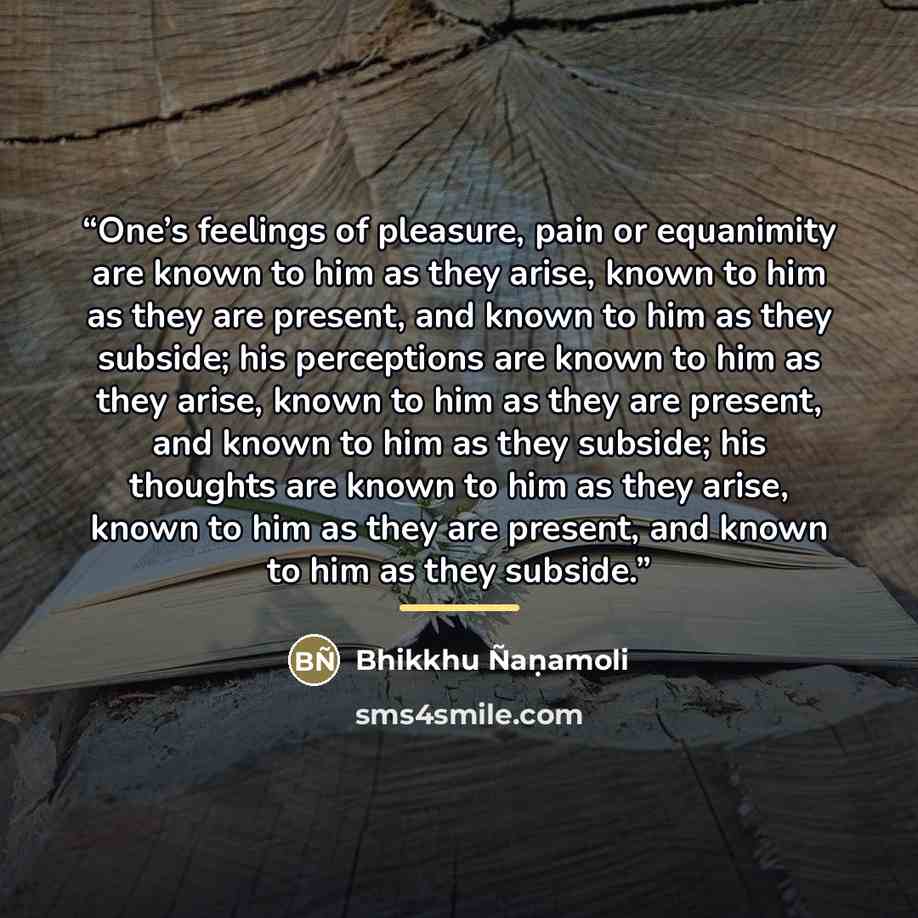 “One’s feelings of pleasure, pain or equanimity are known to him as they arise, known to him as they are present, and known to him as they subside; his perceptions are known to him as they arise, known to him as they are present, and known to him as they subside; his thoughts are known to him as…” quote by Bhikkhu Ñaṇamoli