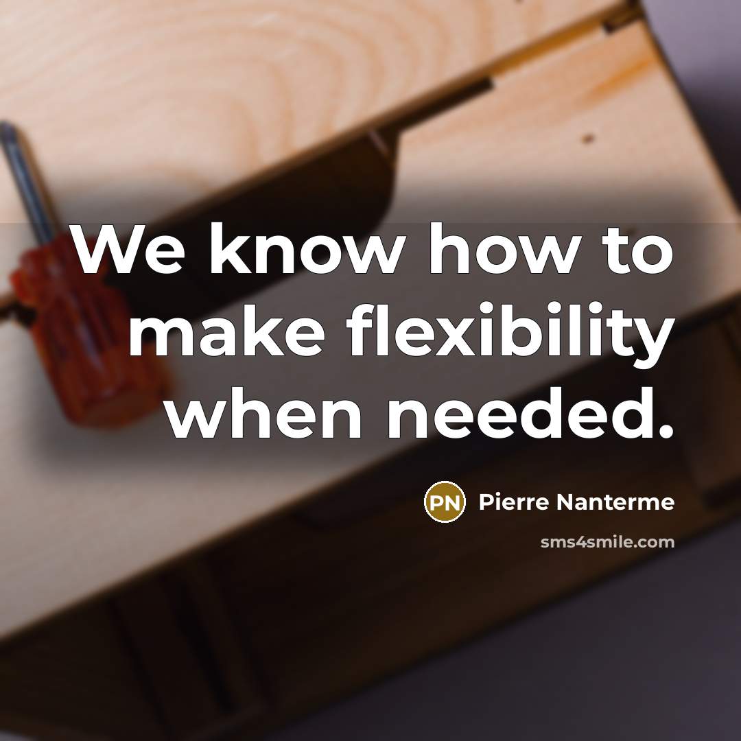 “We know how to make flexibility when needed.” quote by Pierre Nanterme