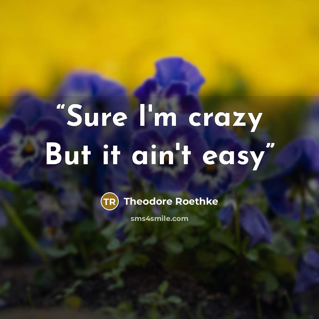 “Sure I'm crazy But it ain't easy” quote by Theodore Roethke
