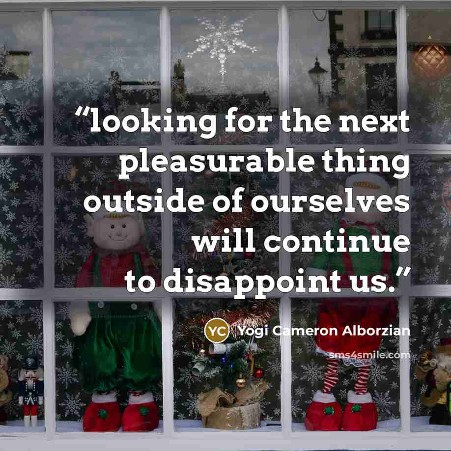 “looking for the next pleasurable thing outside of ourselves will continue to disappoint us.” quote by Yogi Cameron Alborzian