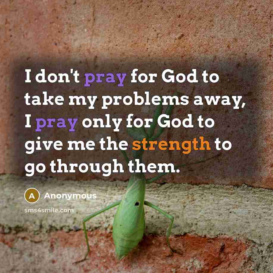 “I don't pray for God to take my problems away, I pray only for God to give me the strength to go through them.” quote by Anonymous